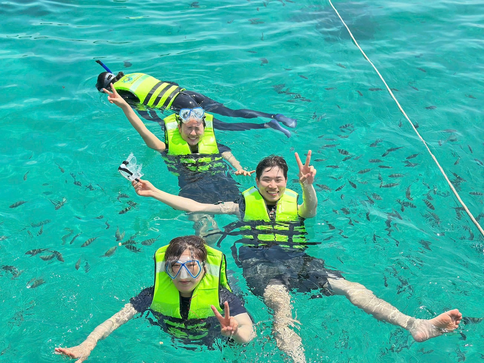 Tour 3 Đảo – Hòn Xưởng (hoặc Hòn Bườm) – Hòn Gầm Ghì - ảnh 16