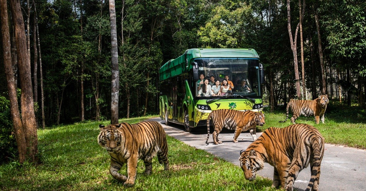 Khám Phá Bắc Đảo Hoang Dã - ảnh 13